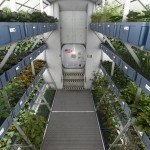 vegetation-mars-1-ibtn9