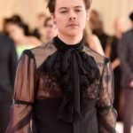 harry styles